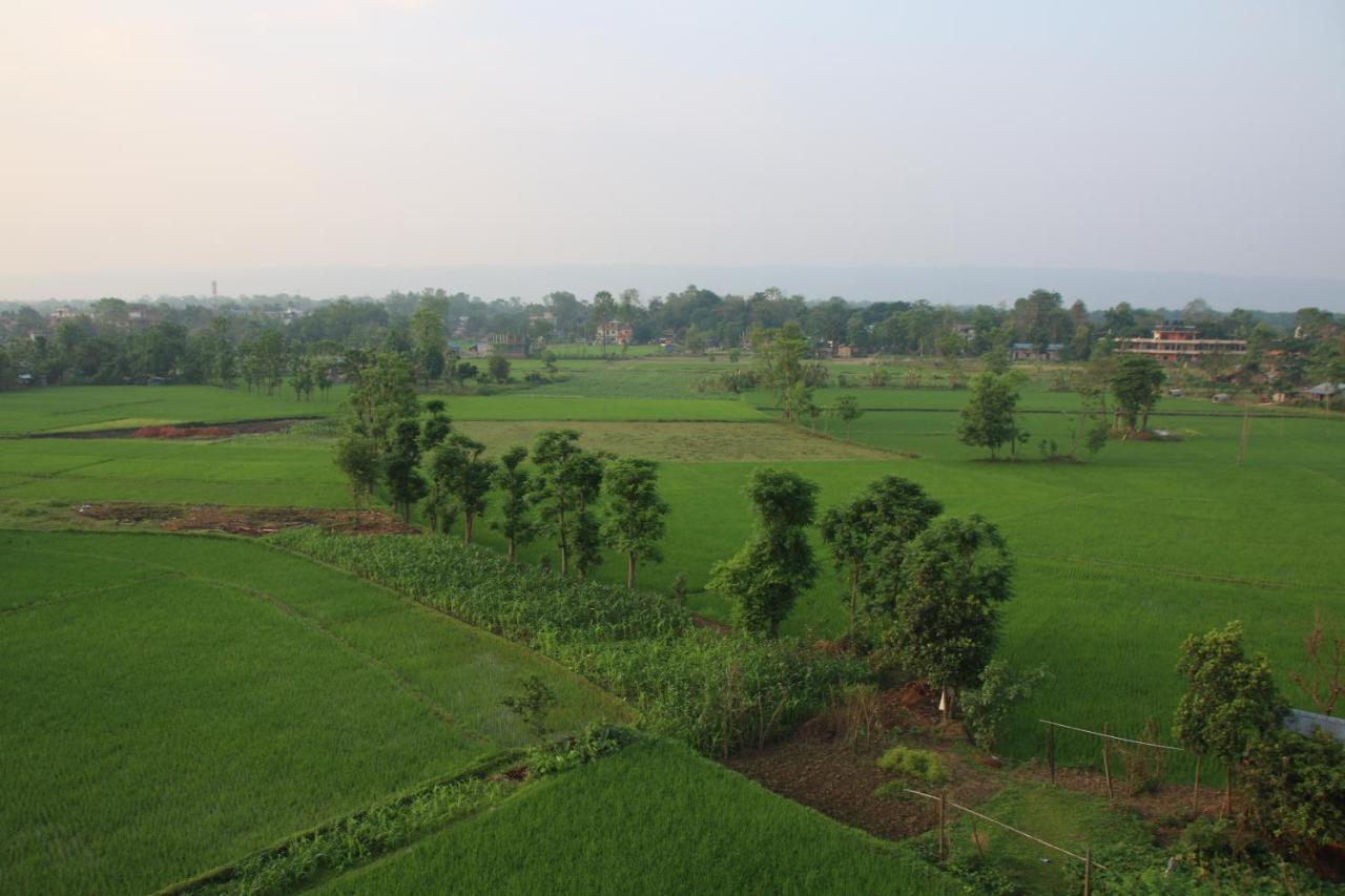 Sweet Home Chitwan Luaran gambar